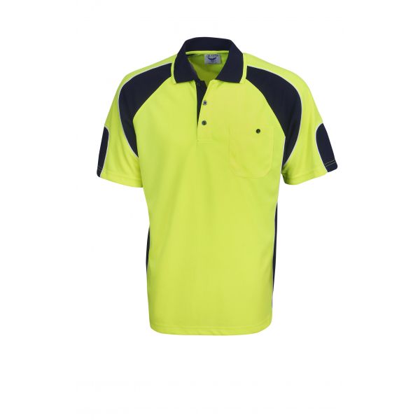 Whale logo polo 2025